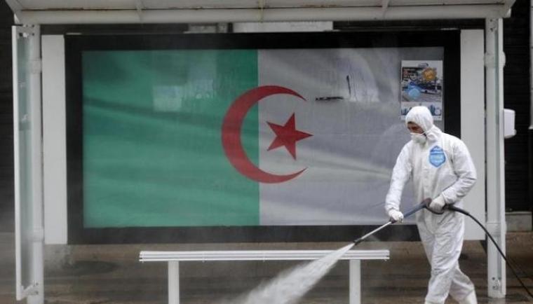 كورونا في الجزائر