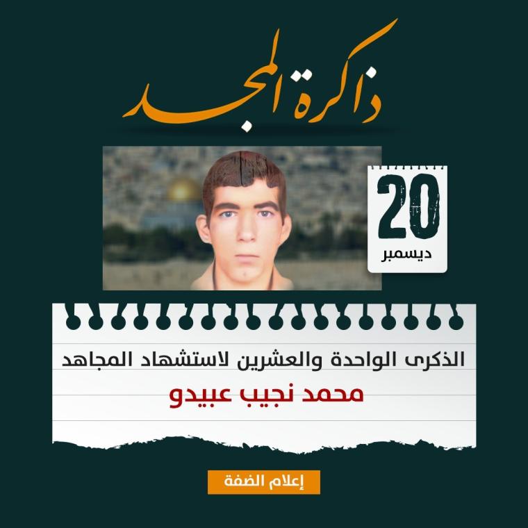 محمد نجيب عبيدو.jpg