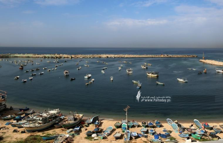 ميناء الصيادين غزة (2).jpg