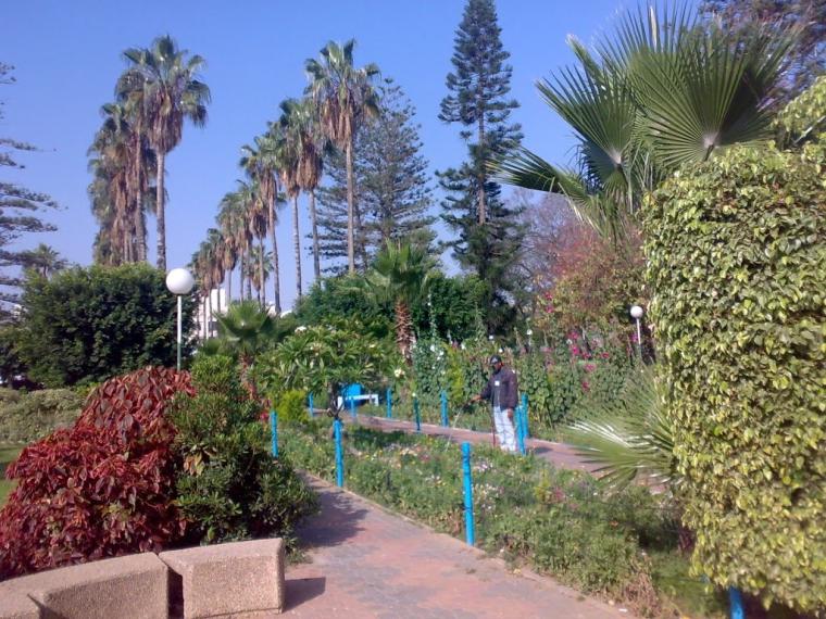 منتزه البلدية.jpg