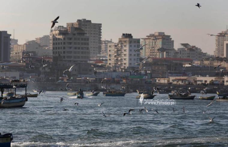 ميناء الصيادين في غزة 2023
