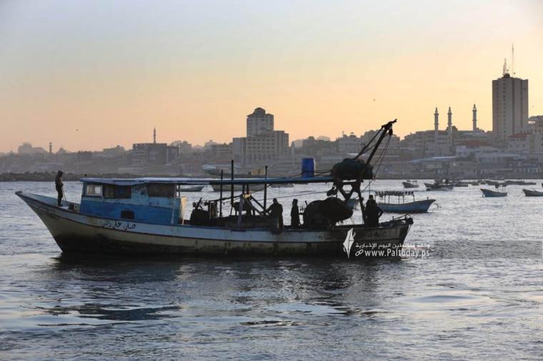 ميناء الصيادين في قطاع غزة