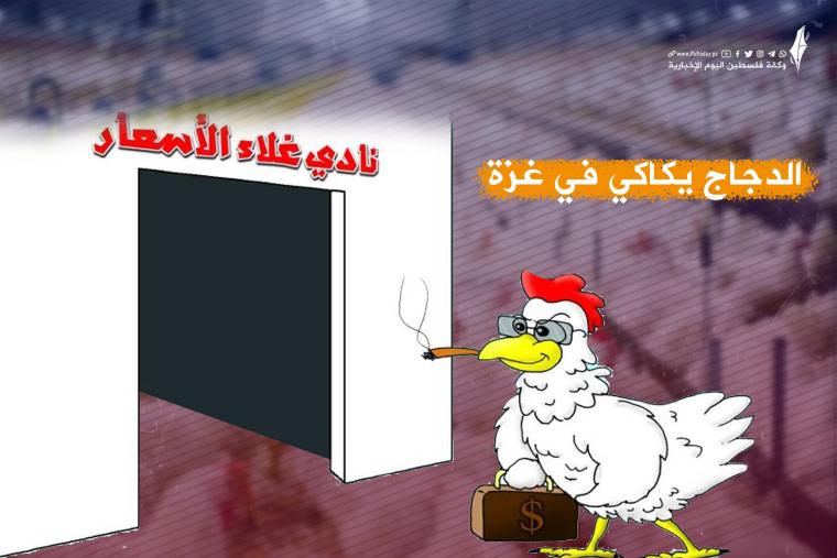 أسعار الدجاج في قطاع غزة اليوم