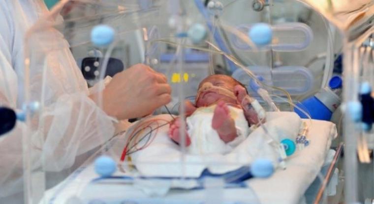 بزراعة أطفال الأنابيب