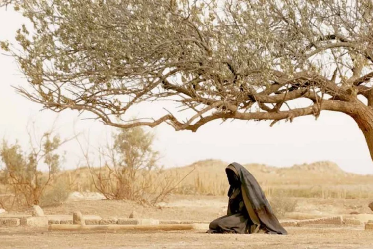 سبب منع عرض فيلم سيدة الجنة