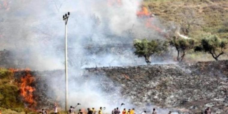 مستوطنون يحرقون أراضي زراعية ويهاجمون منازل المواطنين جنوب نابلس