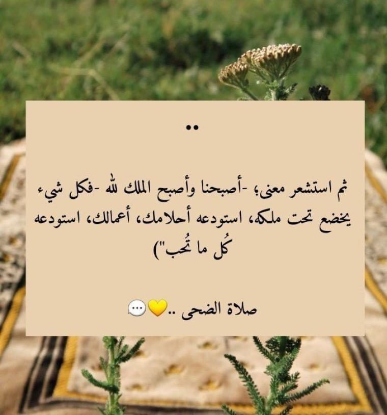 فضل صلاة الضحى في استجابة الدعاء.. أوقات ومواعيد صلاة الضحى