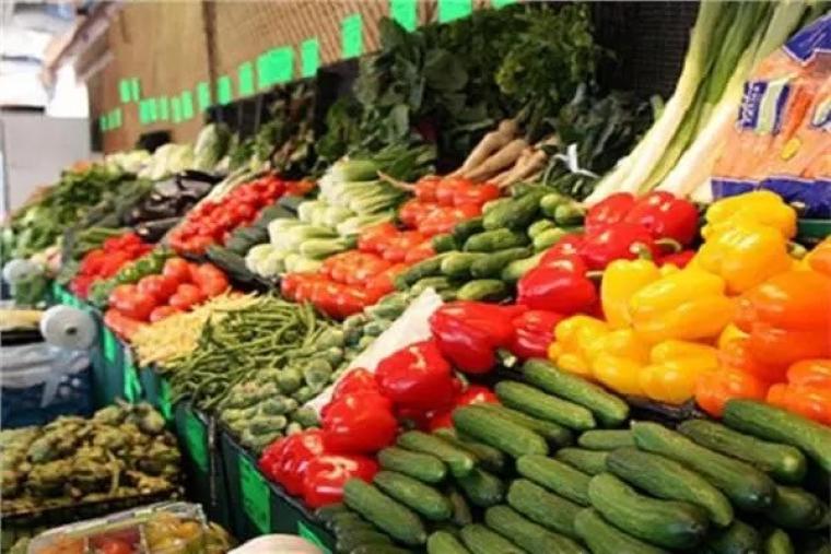 أسعار الخضروات واللحوم والدواجن بغزة اليوم الثلاثاء 12/7/2022م