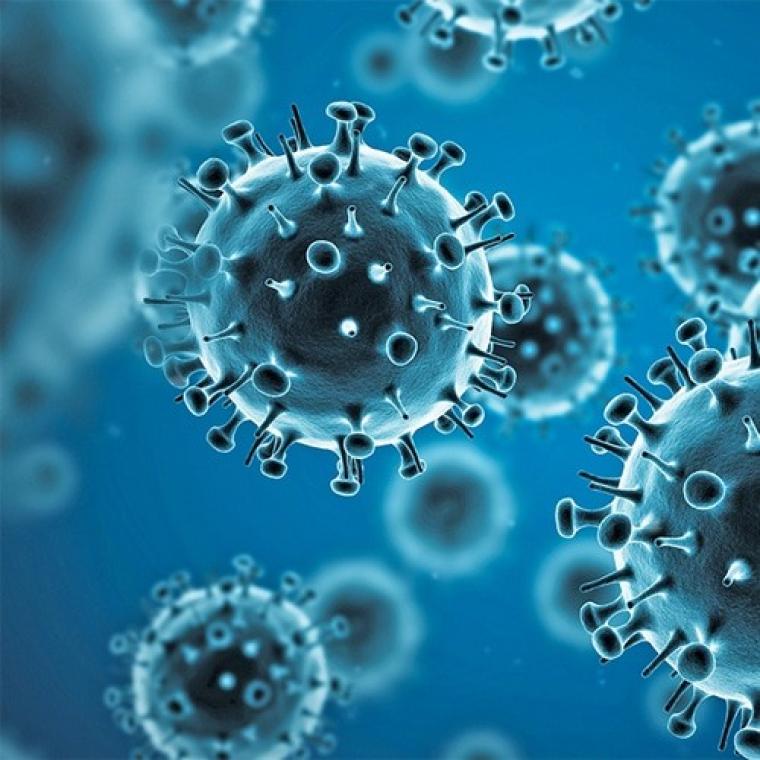 فيروس-الانفلونزا.jpg