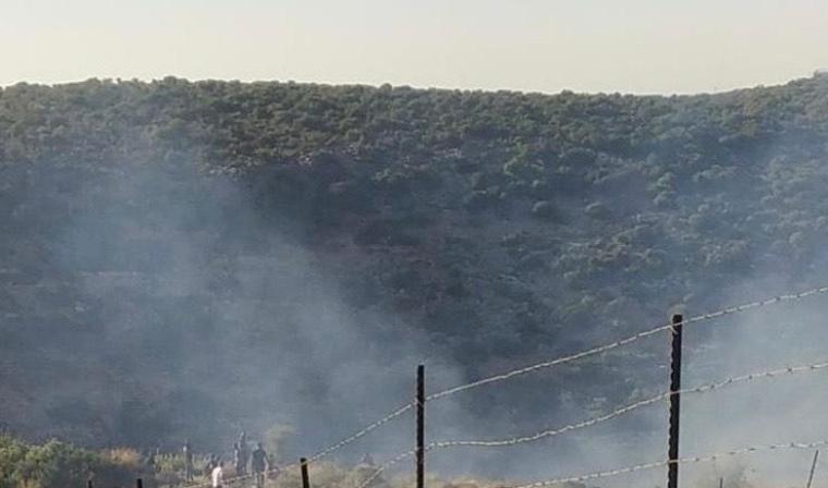 مستوطنو يضرمون النيران في أراضي المواطنين.jpg