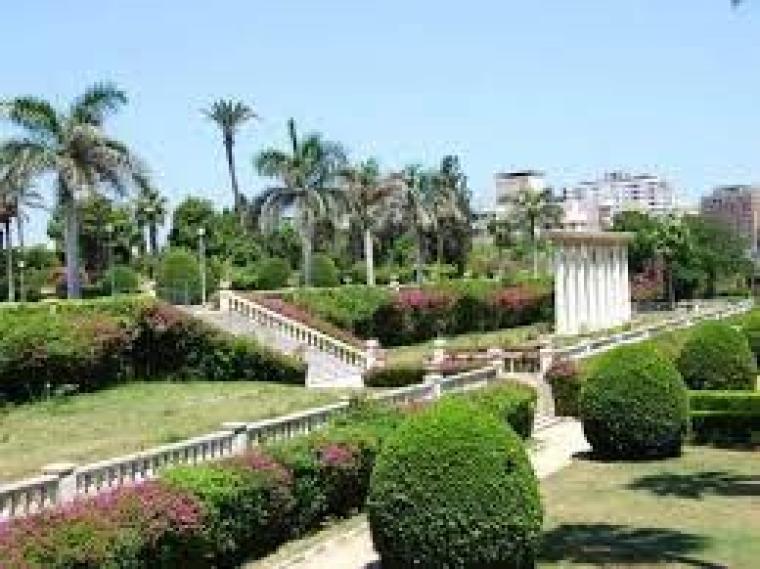 حديقة.jpg