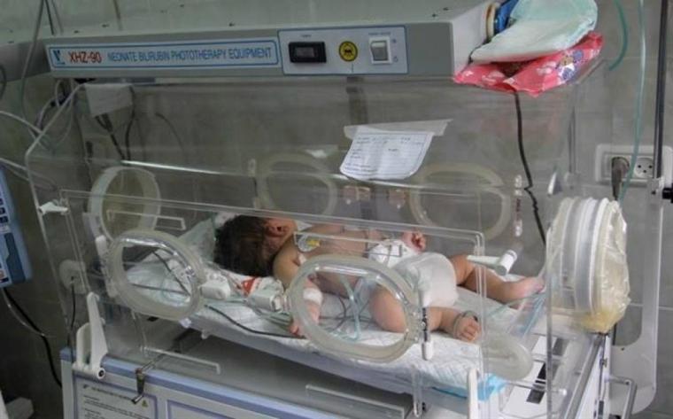 قطاع غزة يُسجل 4273 مولوداً جديداً و323 حالة وفاة خلال نوفمبر