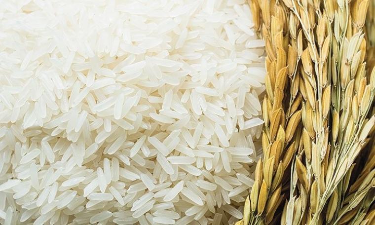 آثار جانبية مفاجئة لتناول الأرز الأبيض