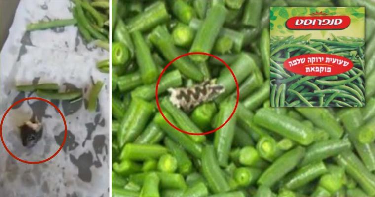 سحب الفاصوليا "الإسرائيلية" من الأسواق الفلسطينية