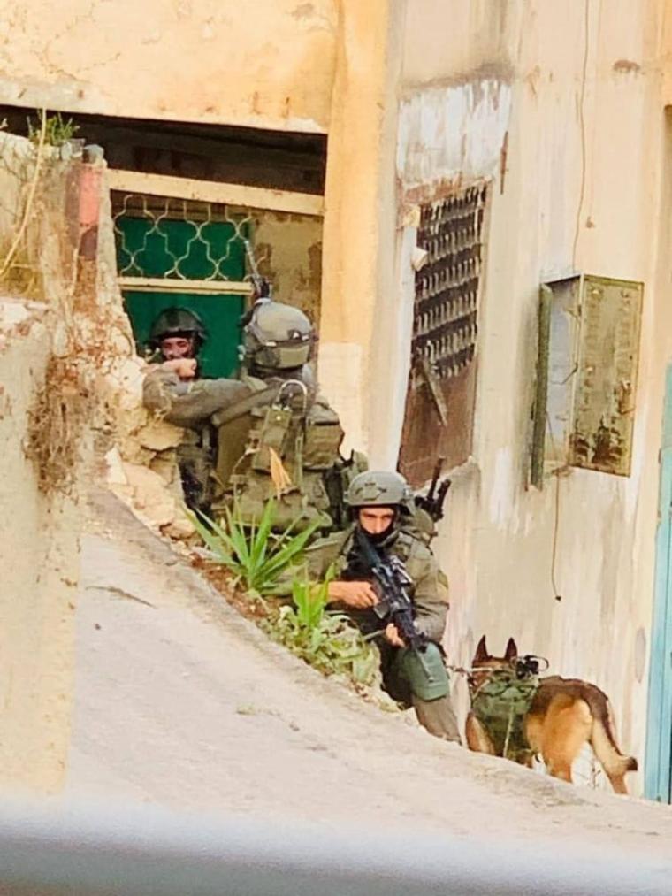 قوات الاحتلال تقتحم قباطية في جنين وتحاصراً منزلاً وسط اندلاع اشتباكات مسلحة