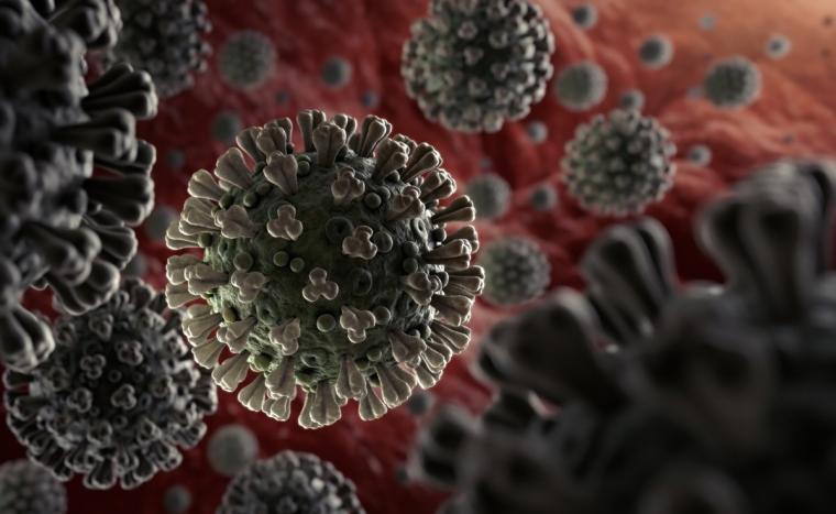 علماء يحذرون من فيروس جديد "قاتل" شبيه بالإيبولا "مهيأ للانتقال'' إلى البشر وقد يسبب الجائحة القادمة