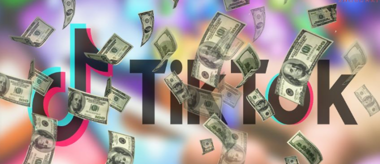 كيف أحسب أرباح نقاط تيك توك- عدد المتابعين للربح من التيك توك- أرباح المشاهير من تيك توك احسب بنفسك 2022