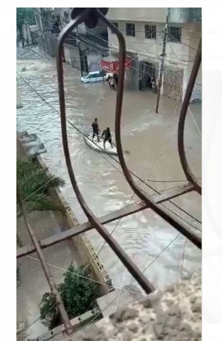 قوارب.PNG