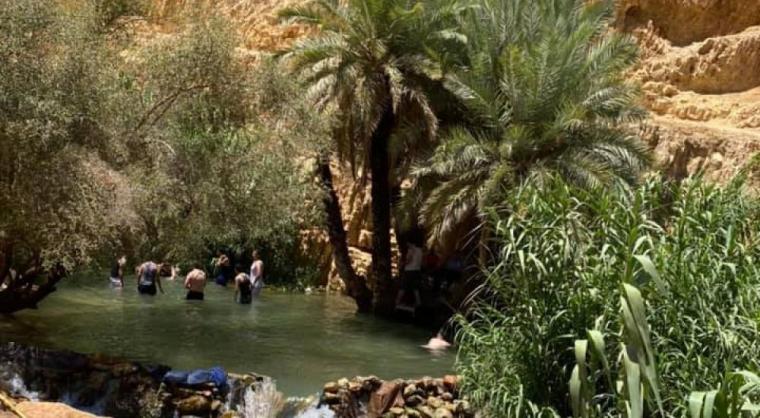 نبع العوجا في أريحا