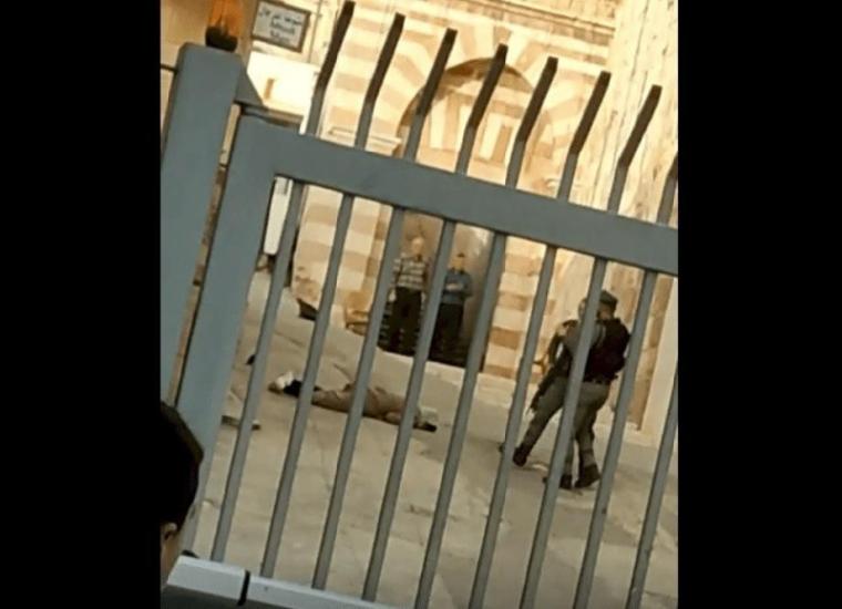 الشهيدة مها الزعتري