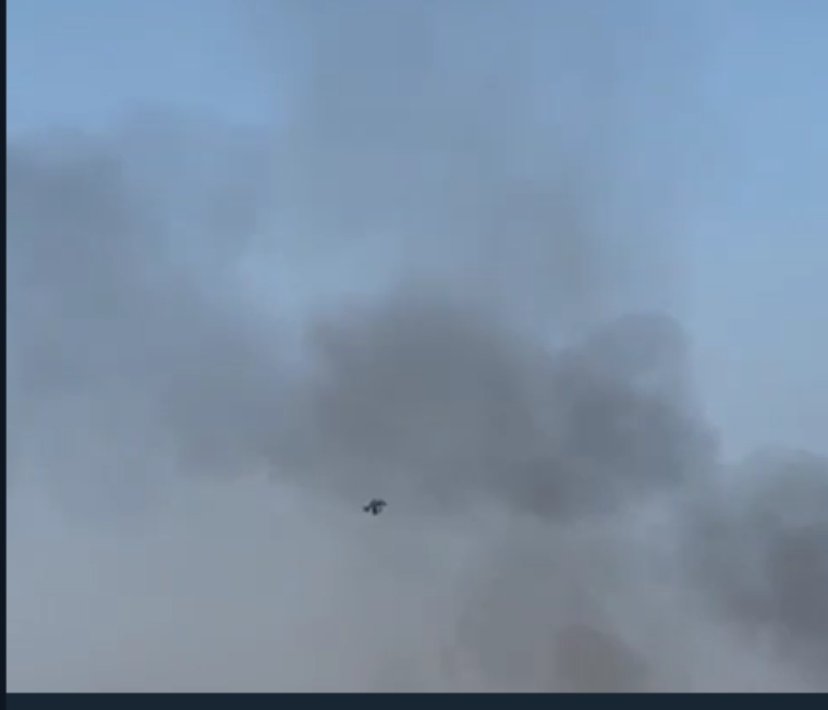 طائرة دارون.PNG