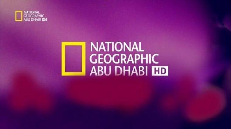 إليك تحديث تردد قناة ناشيونال جيوغرافيك أبو ظبي National Geographic 2023 نايل سات  HDو SD عالم الحيوان وكيدز