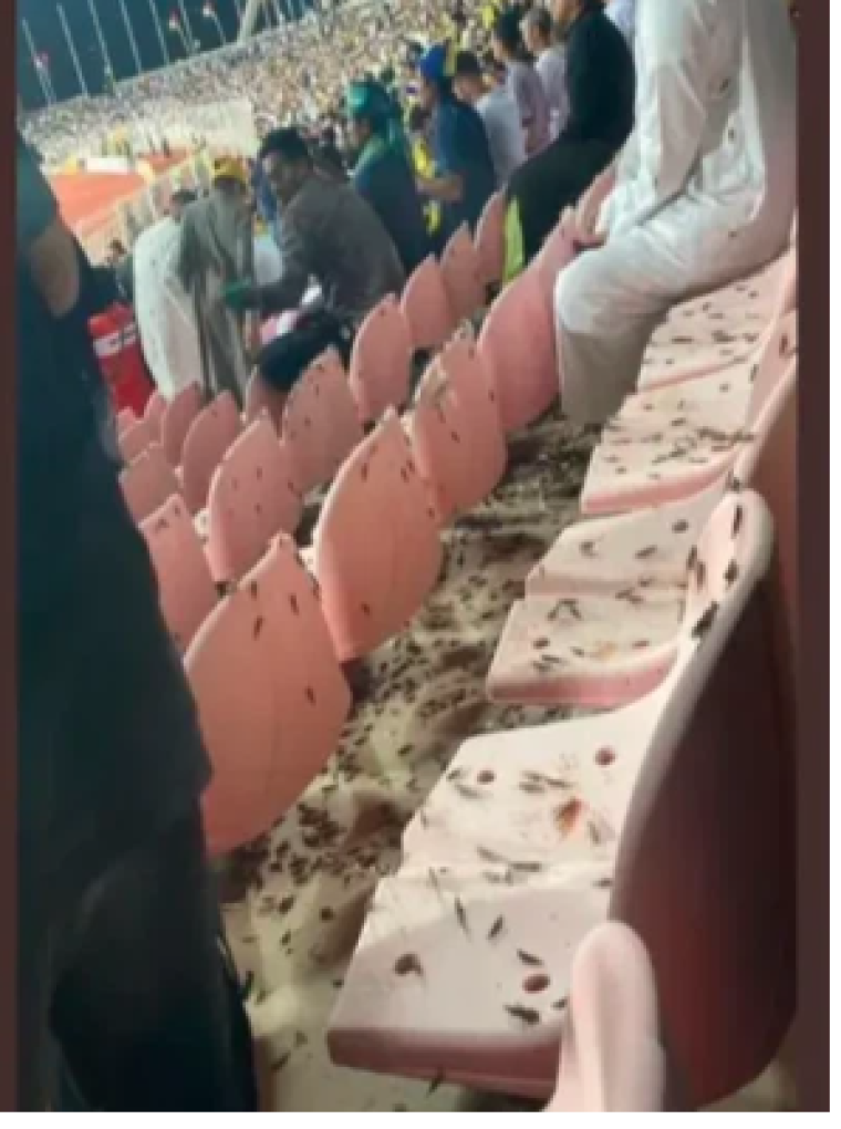 الجراد.PNG