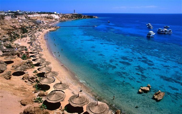 شواطئ.jpg