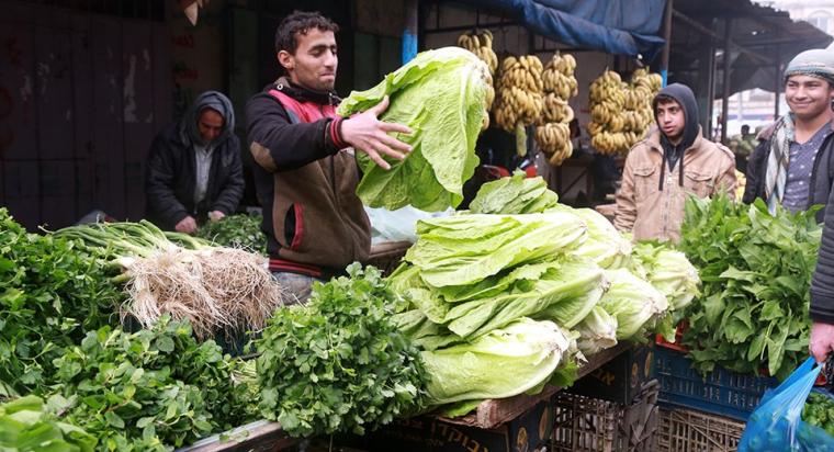 أسعار الخضروات والدجاج في غزة اليوم الأحد 16 ابريل 2023