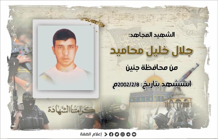 جلال محاميد.jpg