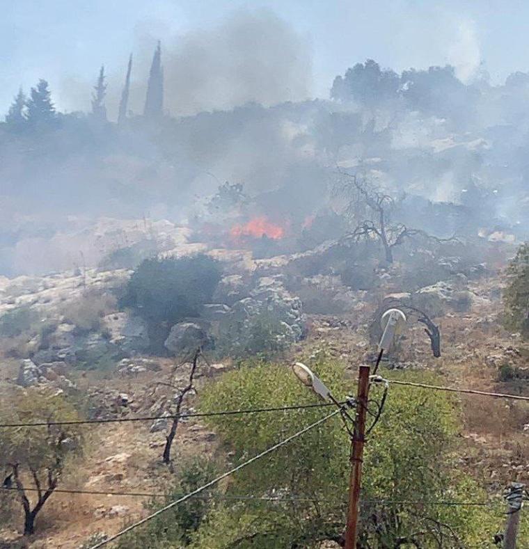 مستوطنون يحرقون عشرات الدونمات الزراعية في نابلس