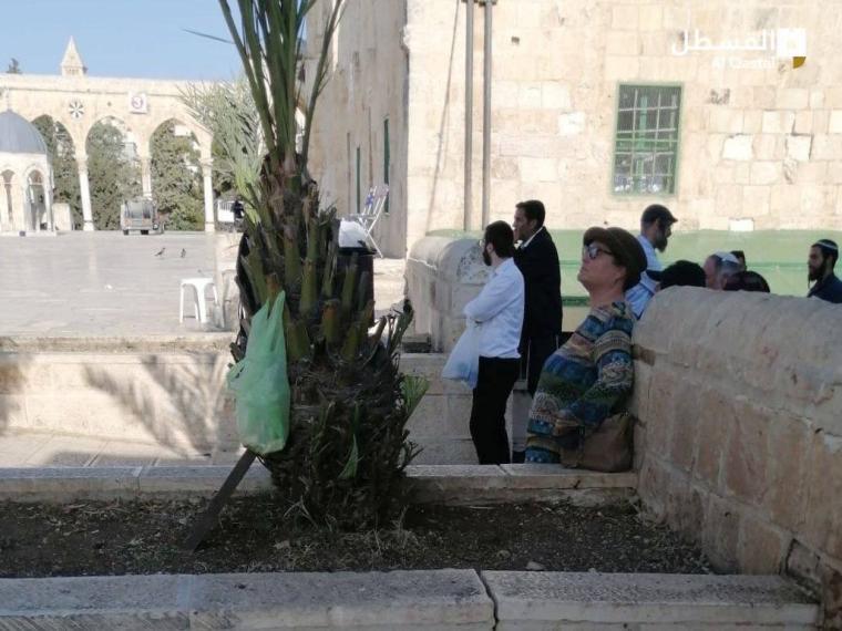 مستوطنون يقتحمون المسجد الأقصى المبارك بحماية قوات الاحتلال