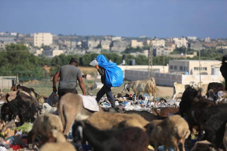 النبش في القمامة.. مهنة جديدة لفقراء غزة (9).JPG