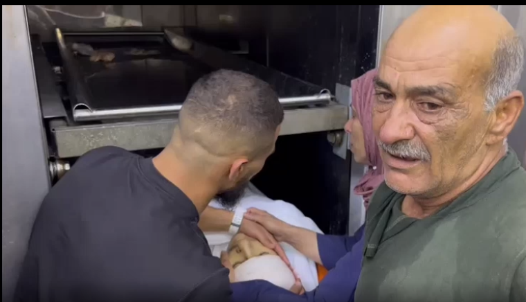 شهيد جنين.PNG