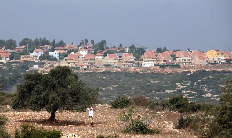 مستوطنة شاكيد