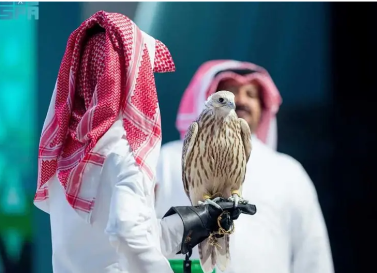 صقور