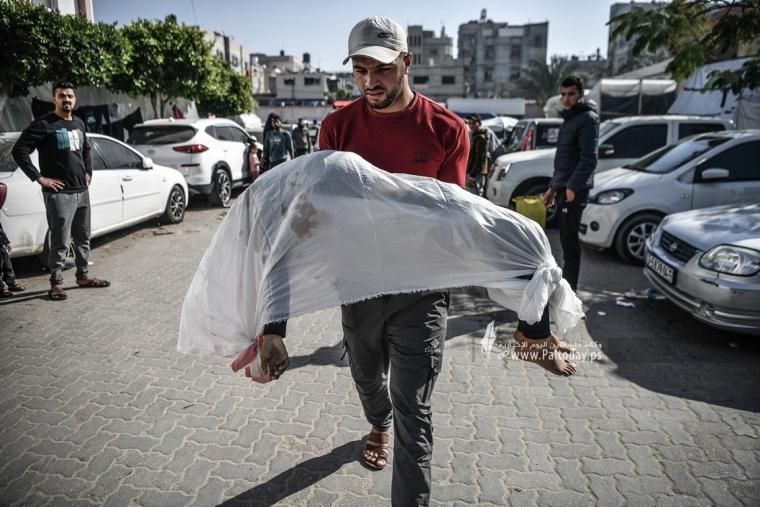 شهداء بغزة