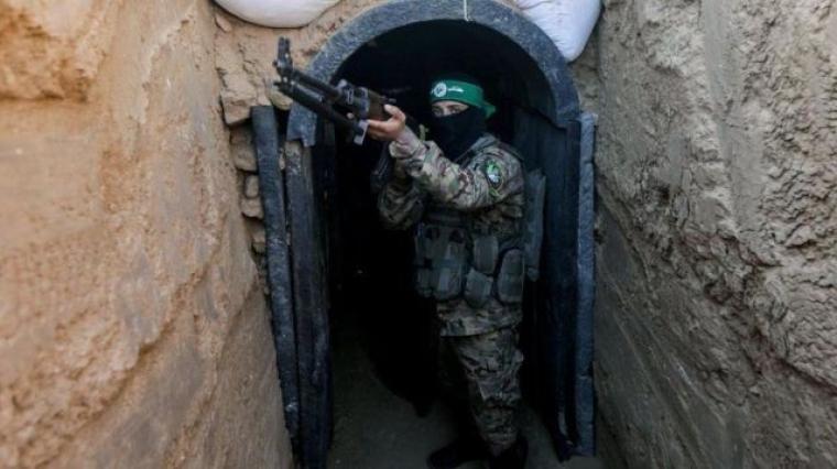 ارشيفية