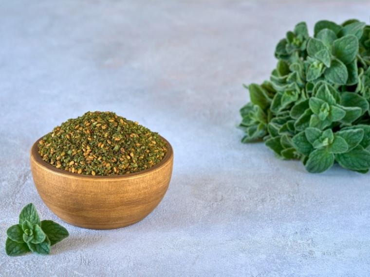 عشبة السماق