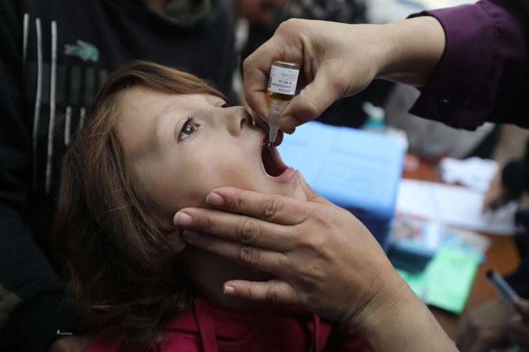 المرلحة الثانية من تطعيم ضد شلل الأطفال في غزة (11).JPG