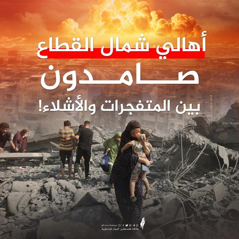 صورة الخبر