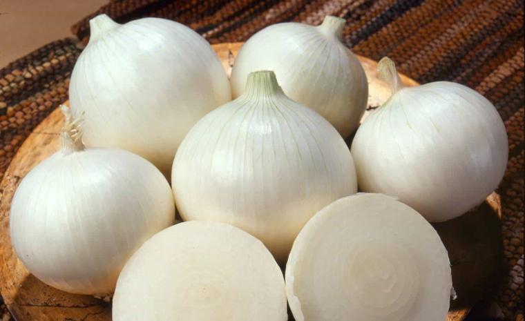 فوائد البصل الأبيض