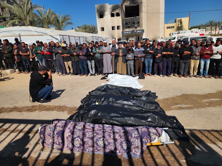 شهداء (1).jpeg