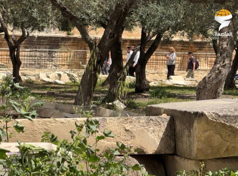 مستعمرون يقتحمون المسجد الأقصى