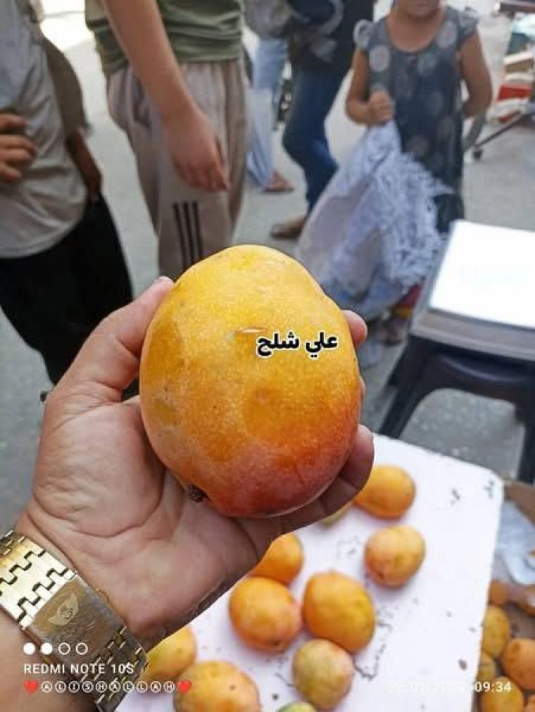 المانجا