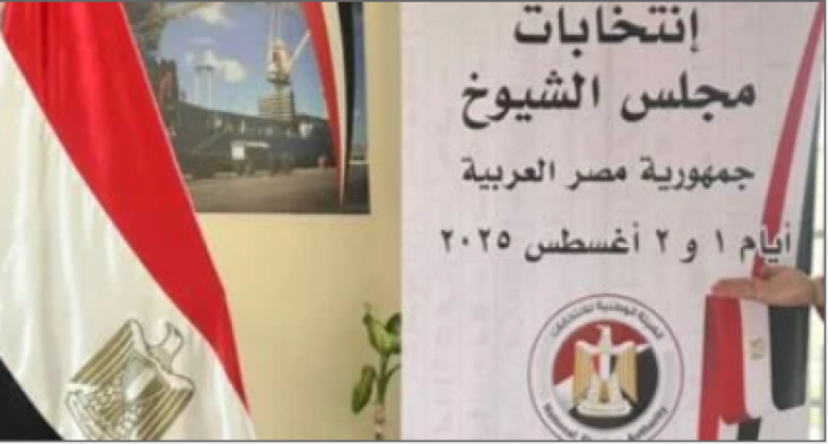 انتخابات مجلس الشيوخ المصرية.PNG