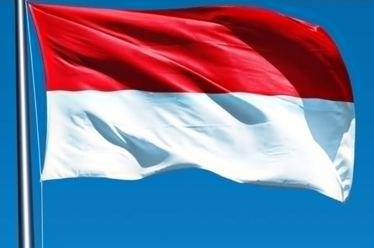 علم إندونيسيا
