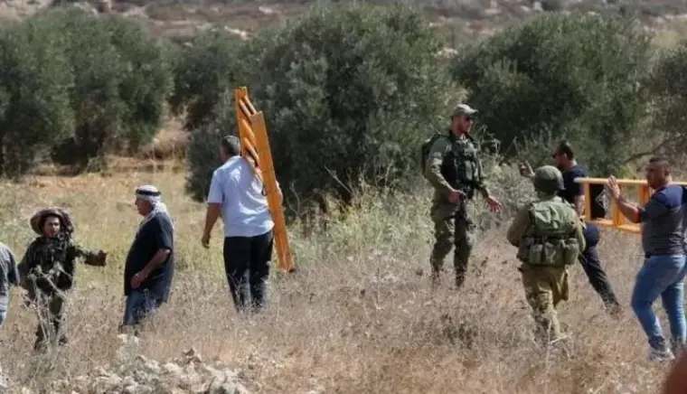 مستوطنون يخاجمون قاطفي الزيتون في نابلس