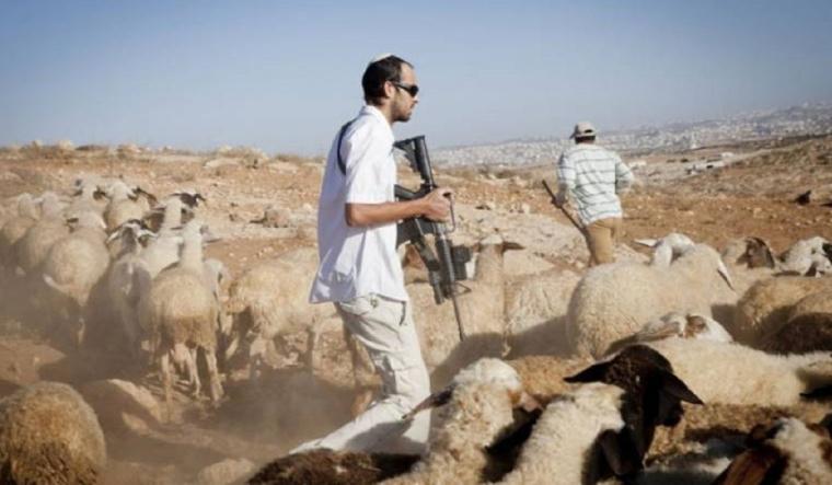 مستعمرون يهاجمون مساكن المواطنين في مسافر يطا