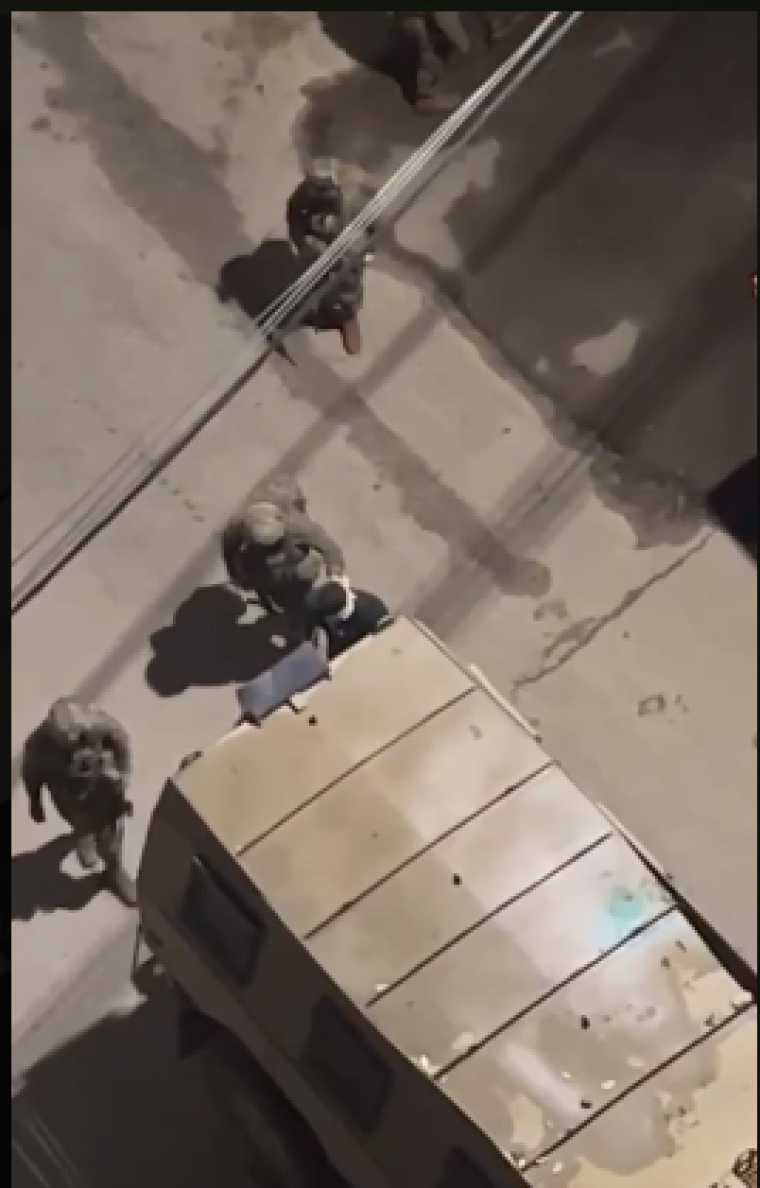 اعتقال مصاب.PNG
